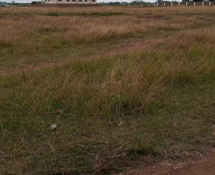  3 Acre Commercial Land for Sale in Vellimalai, Kanyakumari