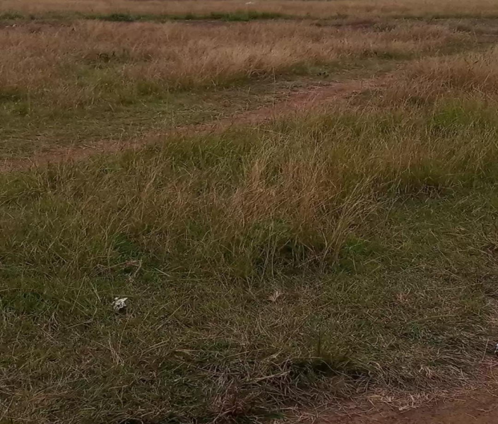  3 Acre Commercial Land for Sale in Vellimalai, Kanyakumari