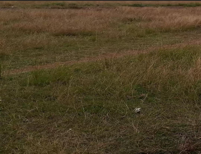  3 Acre Commercial Land for Sale in Vellimalai, Kanyakumari