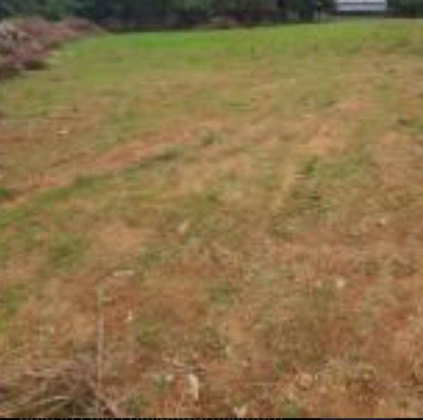  86400 Sq.ft. Commercial Land for Sale in Ennore Port, Chennai