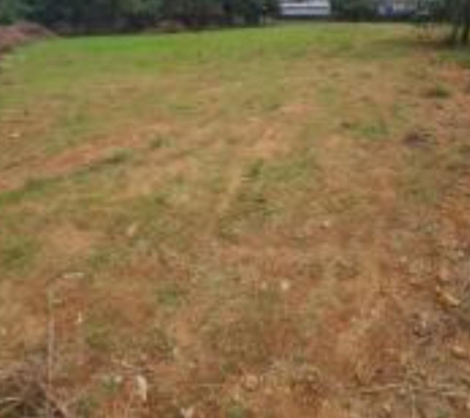  1820 Sq.ft. Residential Plot for Sale in Porur, Chennai