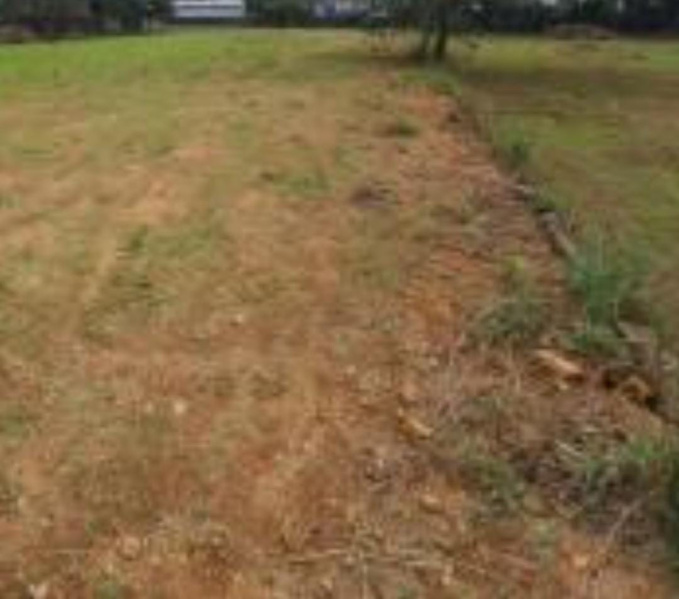  1820 Sq.ft. Residential Plot for Sale in Porur, Chennai