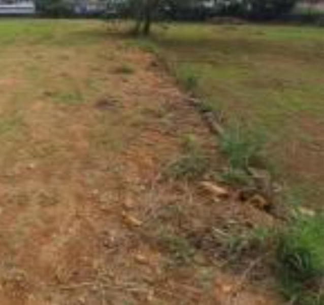  1820 Sq.ft. Residential Plot for Sale in Porur, Chennai
