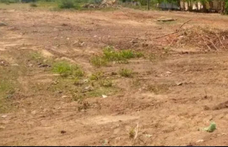  8 Cent Residential Plot for Sale in Vilankurichi, Coimbatore