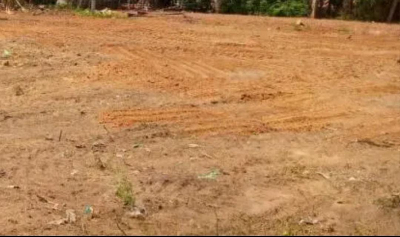  8 Cent Residential Plot for Sale in Vilankurichi, Coimbatore