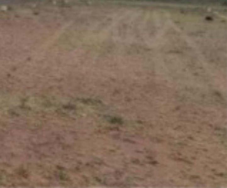  5 Acre Commercial Land for Sale in Thindivanam, Chennai