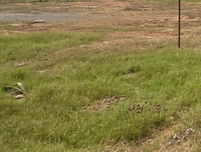  10200 Sq.ft. Residential Plot for Sale in Muttukadu, Chennai