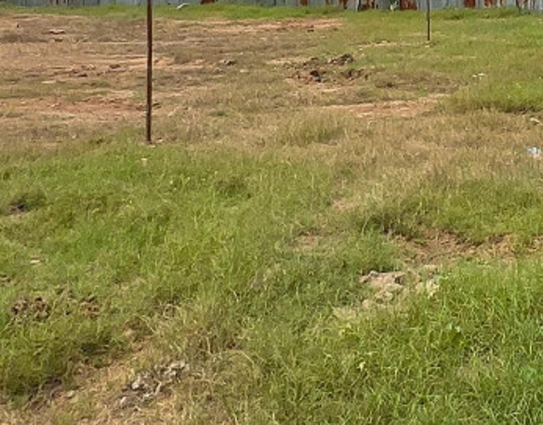  10200 Sq.ft. Residential Plot for Sale in Muttukadu, Chennai