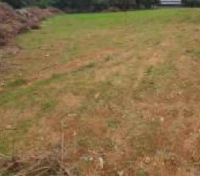  14400 Sq.ft. Residential Plot for Sale in Akkarai, Chennai