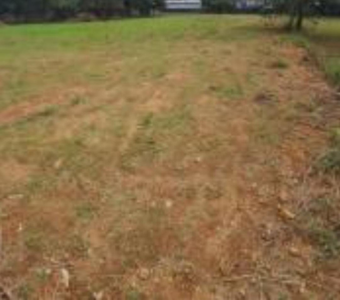  14400 Sq.ft. Residential Plot for Sale in Akkarai, Chennai