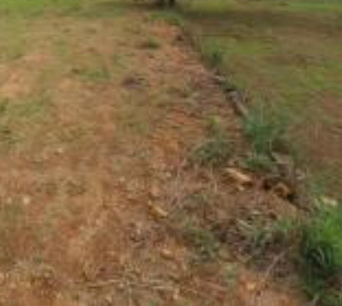  14400 Sq.ft. Residential Plot for Sale in Akkarai, Chennai