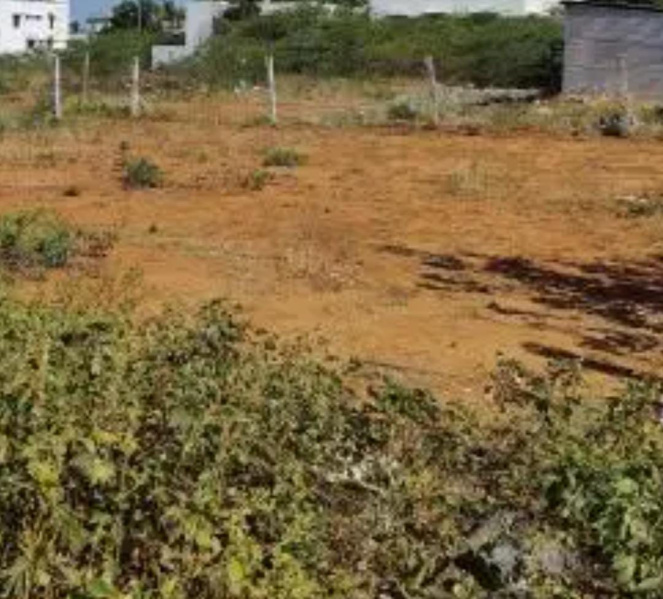  2400 Sq.ft. Residential Plot for Sale in West Mambalam, Chennai