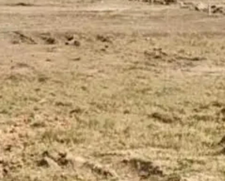  35 Acre Commercial Land for Sale in Kandigai, Chennai