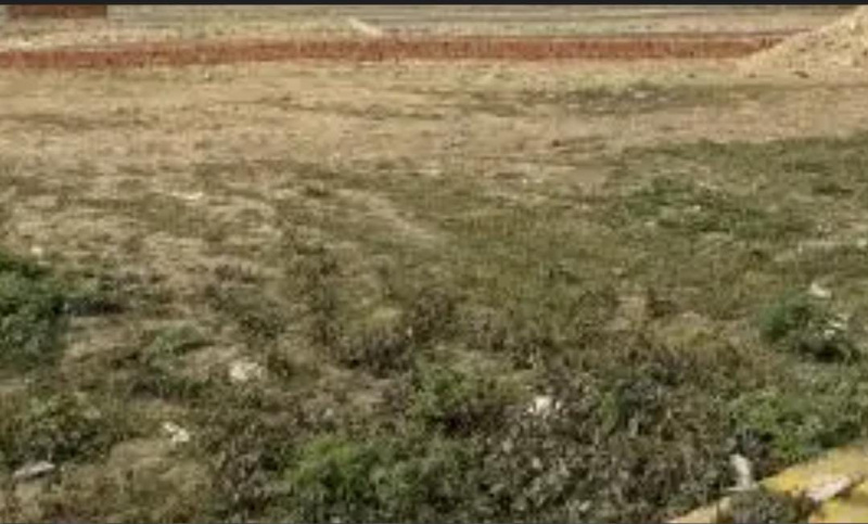  35 Acre Commercial Land for Sale in Kandigai, Chennai