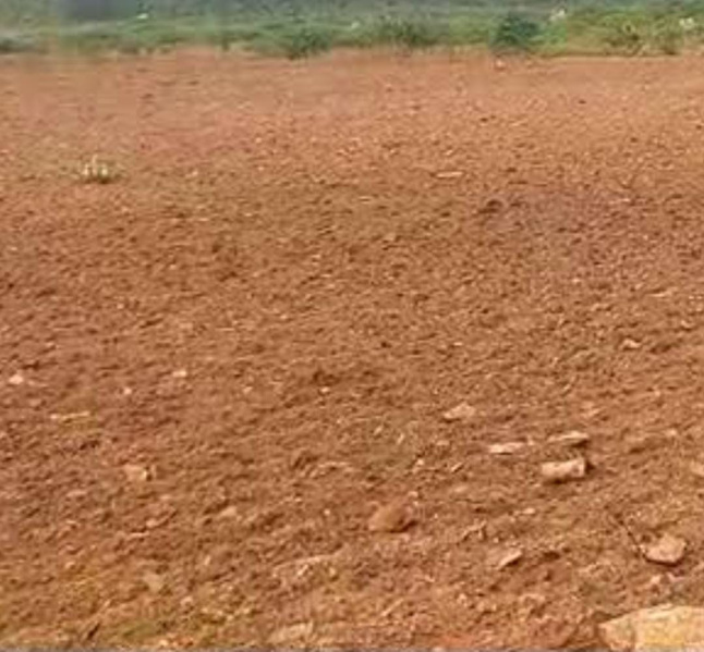  525 Acre Commercial Land for Sale in Dhanalakshmi Nagar, Avadi, Chennai