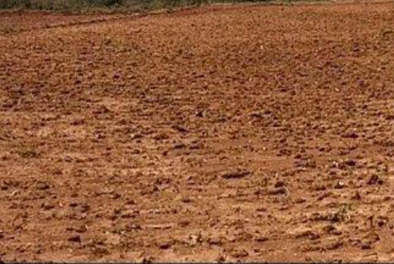  525 Acre Commercial Land for Sale in Dhanalakshmi Nagar, Avadi, Chennai