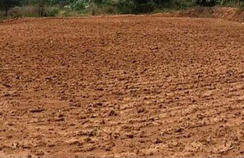  525 Acre Commercial Land for Sale in Dhanalakshmi Nagar, Avadi, Chennai