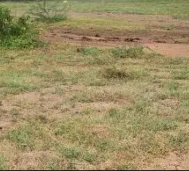  106 Acre Commercial Land for Sale in Pudukudi, Thanjavur