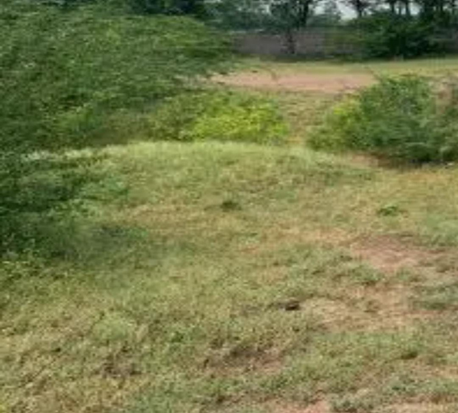  106 Acre Commercial Land for Sale in Pudukudi, Thanjavur