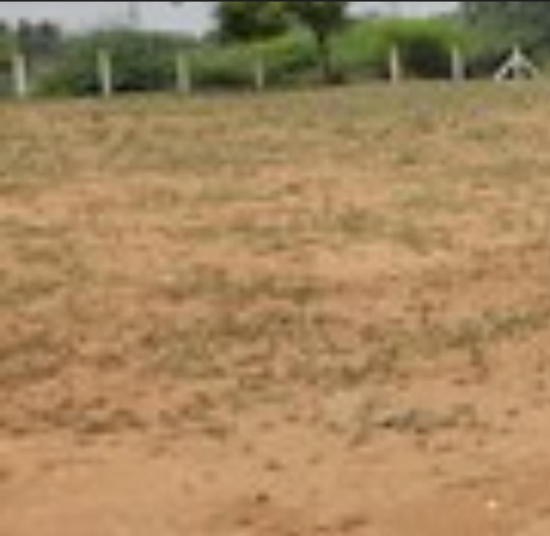  250 Acre Commercial Land for Sale in Samayapuram, Tiruchirappalli