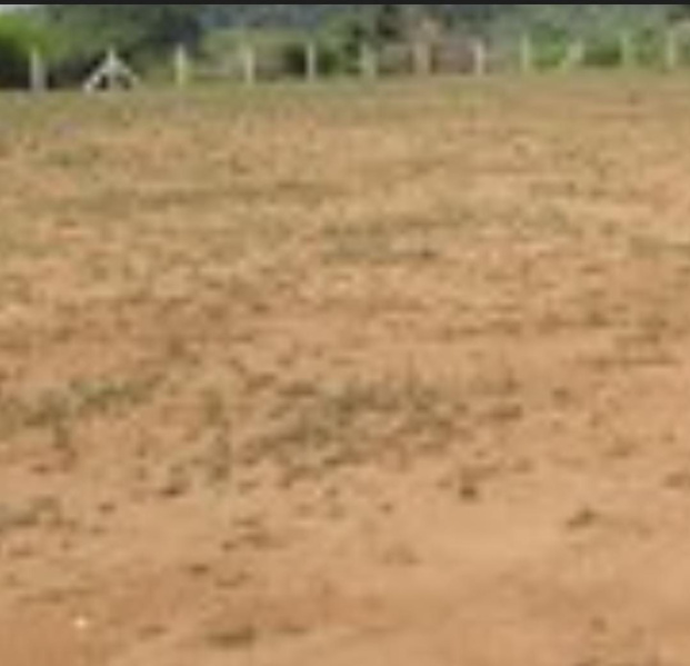  250 Acre Commercial Land for Sale in Samayapuram, Tiruchirappalli