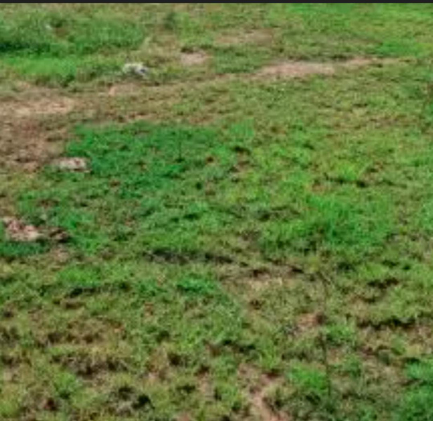  13 Acre Commercial Land for Sale in Balaji Nagar, Tiruchirappalli