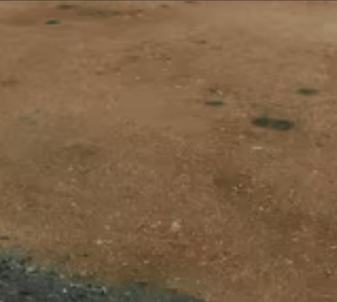  6 Acre Commercial Land for Sale in Guduvancheri, Chennai