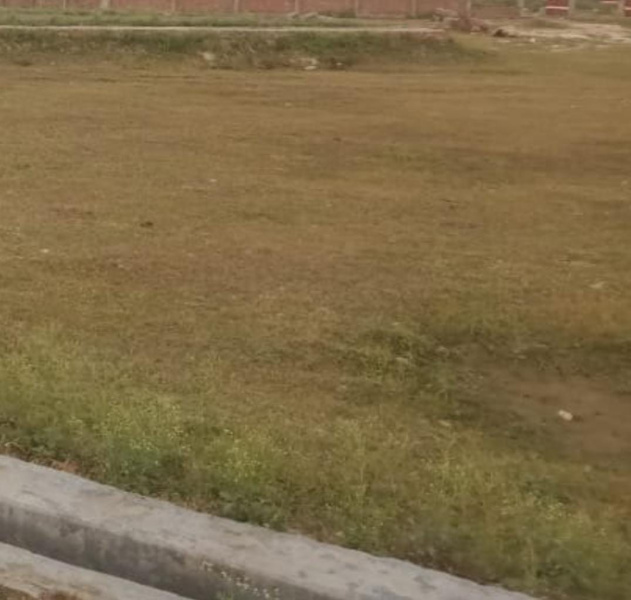  50 Acre Commercial Land for Sale in Palladam, Tirupur