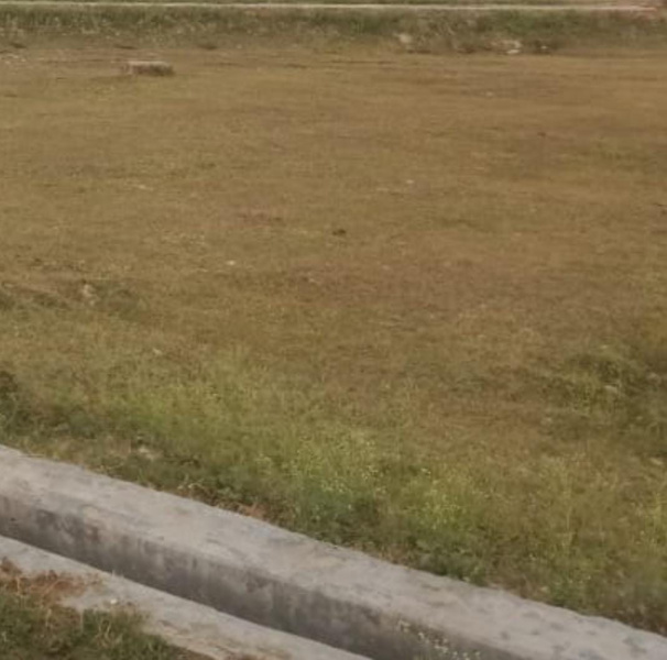  50 Acre Commercial Land for Sale in Palladam, Tirupur