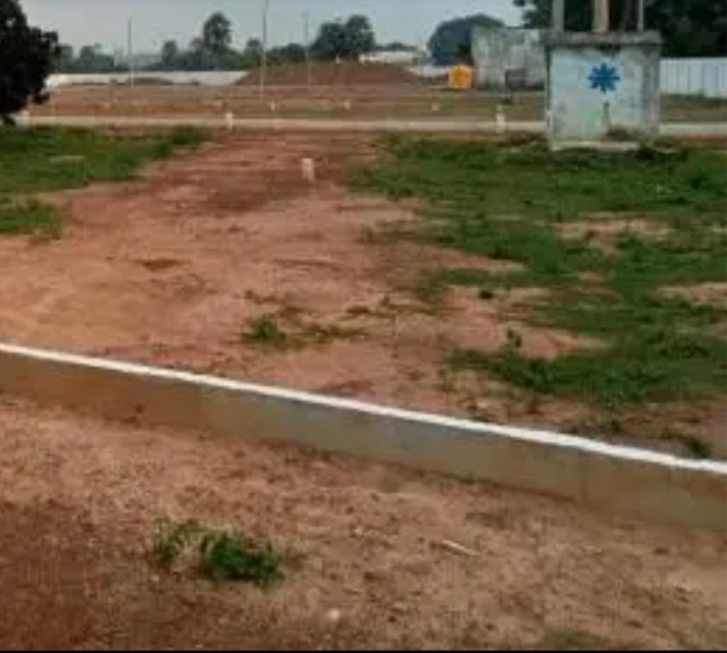  6000 Sq.ft. Residential Plot for Sale in Thousand Lights, Chennai