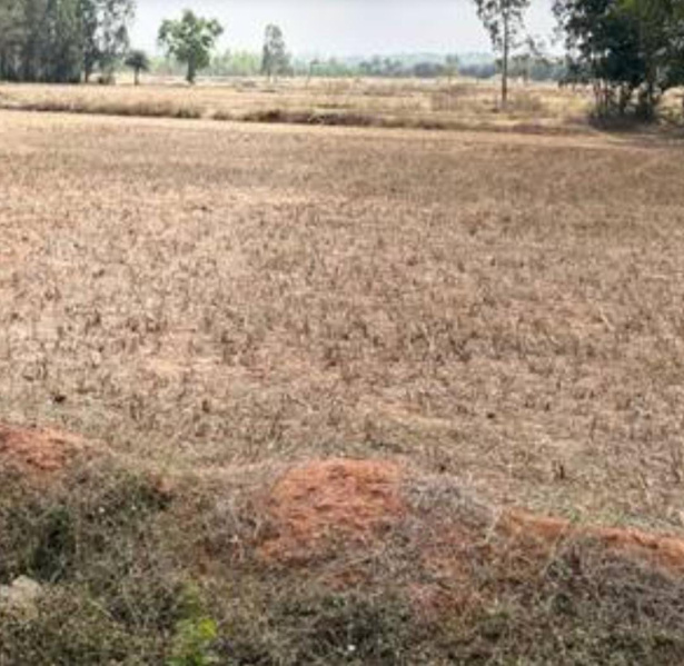  44 Acre Commercial Land for Sale in Binnamangala, Indira Nagar, Bangalore