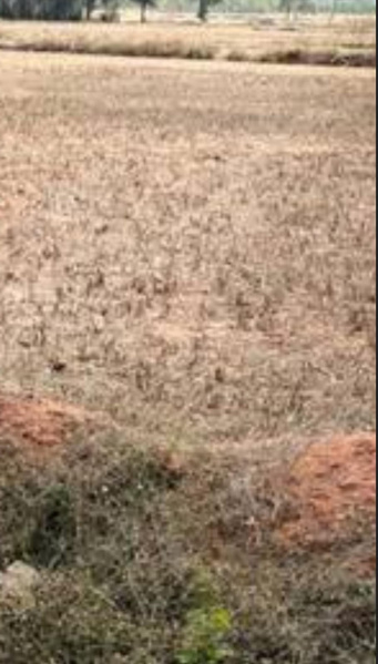  44 Acre Commercial Land for Sale in Binnamangala, Indira Nagar, Bangalore