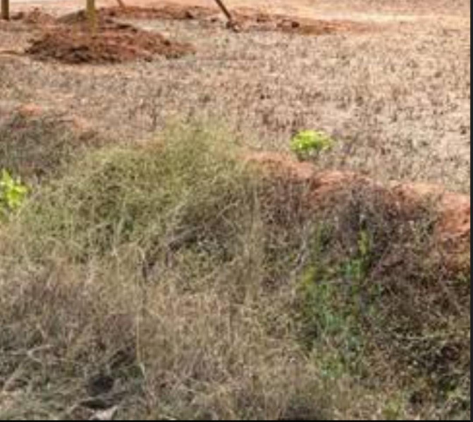  44 Acre Commercial Land for Sale in Binnamangala, Indira Nagar, Bangalore