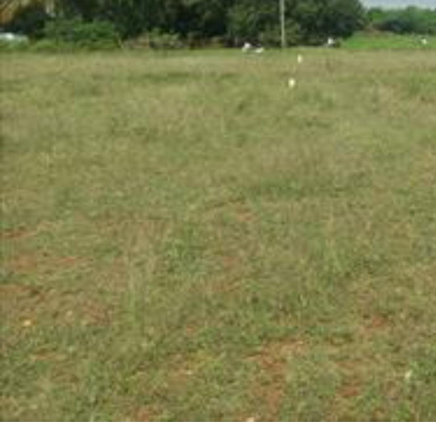  35 Acre Commercial Land for Sale in Thennampalayam, Coimbatore
