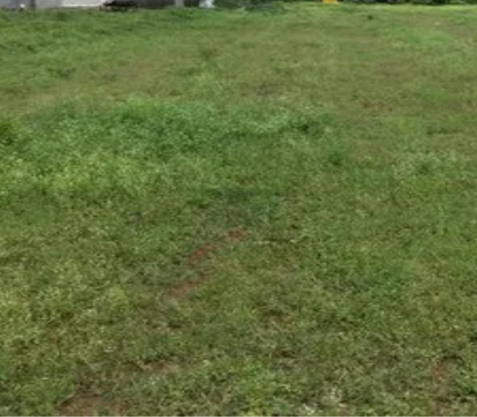  35 Acre Commercial Land for Sale in Thennampalayam, Coimbatore