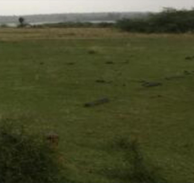  262 Acre Commercial Land for Sale in Oragadam, Chennai