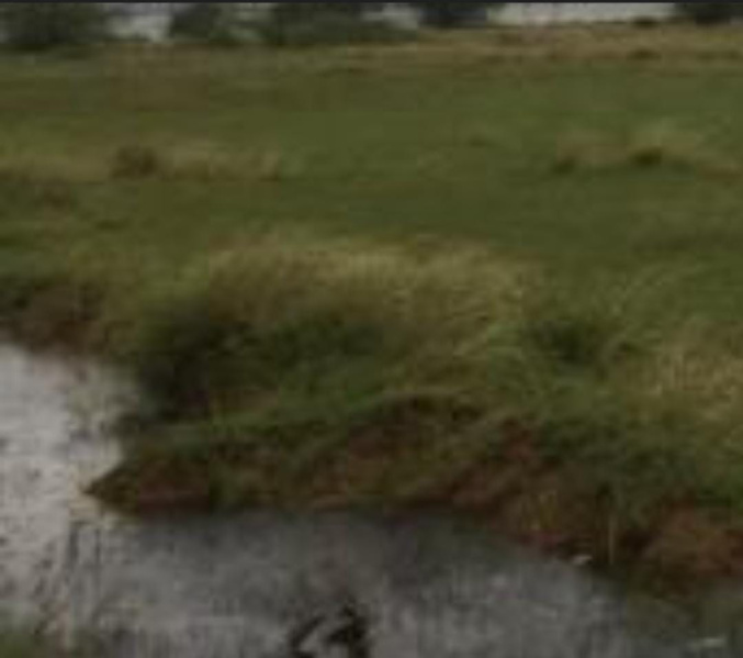  262 Acre Commercial Land for Sale in Oragadam, Chennai