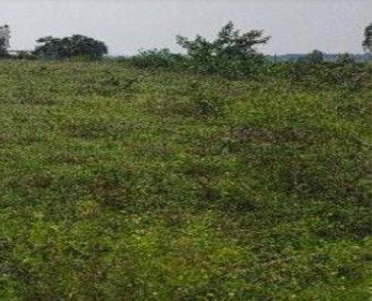  354 Sq.ft. Commercial Land for Sale in Sathya Sai Nagar, Chennai