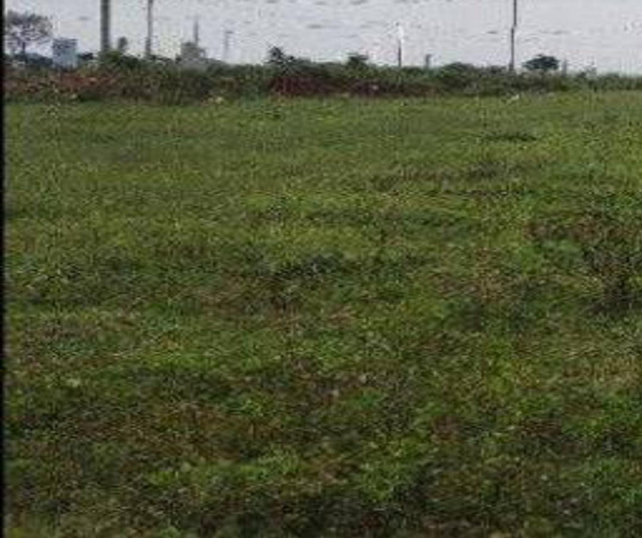  354 Sq.ft. Commercial Land for Sale in Sathya Sai Nagar, Chennai