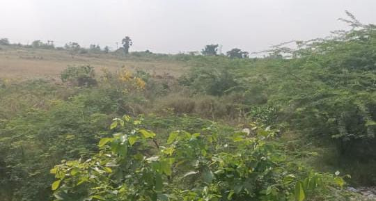  3 Acre Commercial Land for Sale in Vallioor, Tirunelveli
