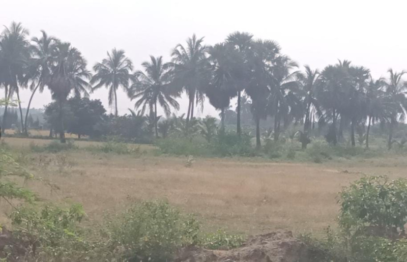  3 Acre Commercial Land for Sale in Vallioor, Tirunelveli