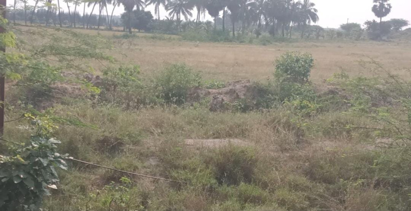  3 Acre Commercial Land for Sale in Vallioor, Tirunelveli