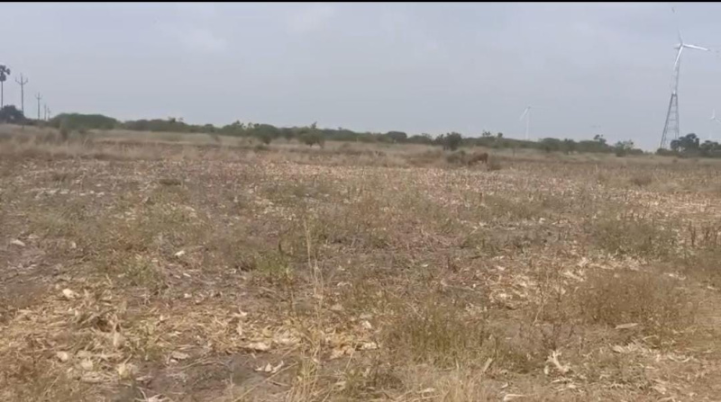  325 Acre Commercial Land for Sale in Ottapidaram, Thoothukudi