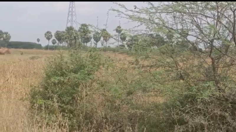  110 Acre Commercial Land for Sale in Ottapidaram, Thoothukudi