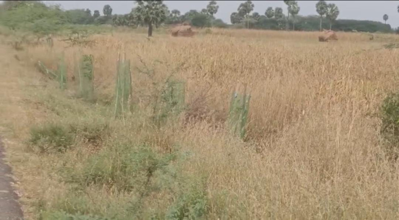  110 Acre Commercial Land for Sale in Ottapidaram, Thoothukudi