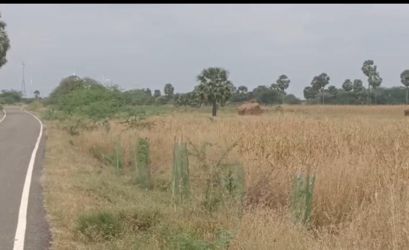  110 Acre Commercial Land for Sale in Ottapidaram, Thoothukudi