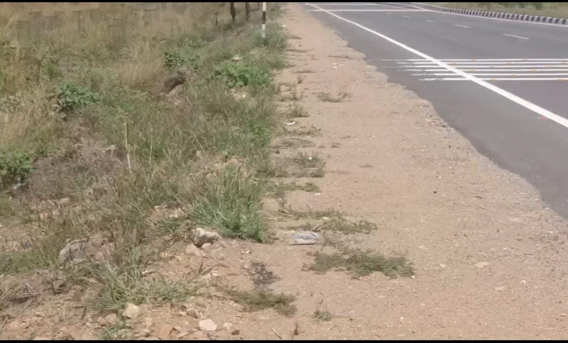  46 Acre Commercial Land for Sale in Kovilpatti, Thoothukudi