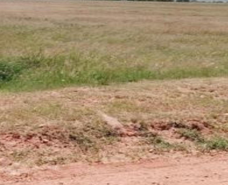  6 Acre Commercial Land for Sale in Karumathampatti, Coimbatore