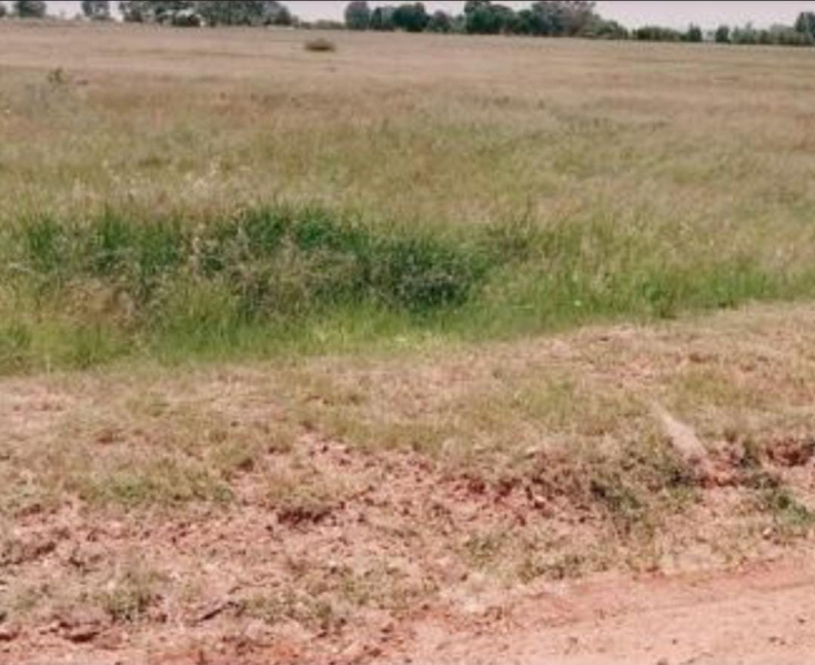  6 Acre Commercial Land for Sale in Karumathampatti, Coimbatore