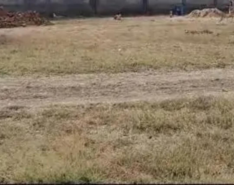  14400 Sq.ft. Commercial Land for Sale in Padi, Chennai